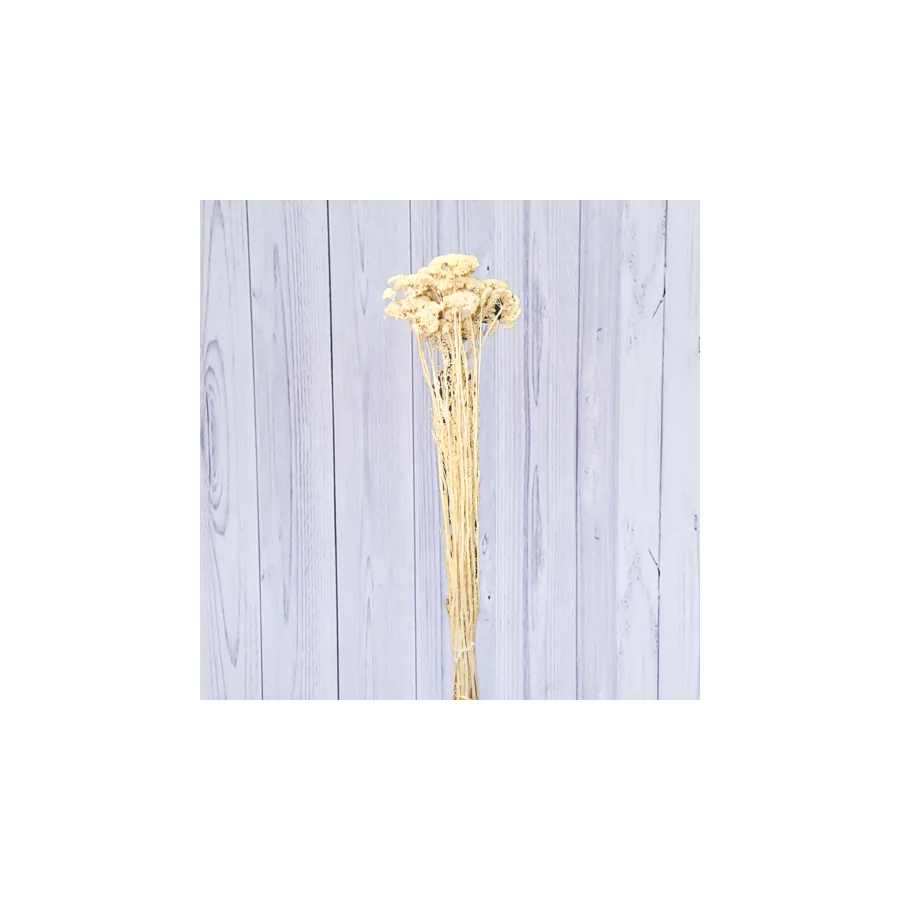 Achillea – per bunch